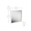 Hassin Mirror