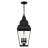 Anousha 3 - Light Outdoor Hanging Lantern-1206560883