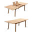 Nathanial Outdoor 9 - Piece Teak Dining Set-793693898-732355829