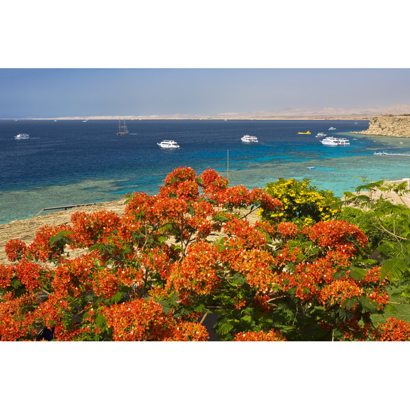 Red Sea by Red Sea - Wrapped Canvas Print, 20cm H x 30cm W x 3.8cm D