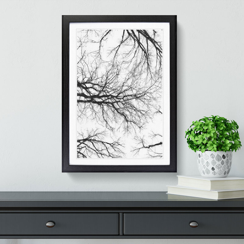 Tree Branches in Central Park New York - Picture Frame Painting Print, 45cm H x 33cm W x 2cm D, Black Framed