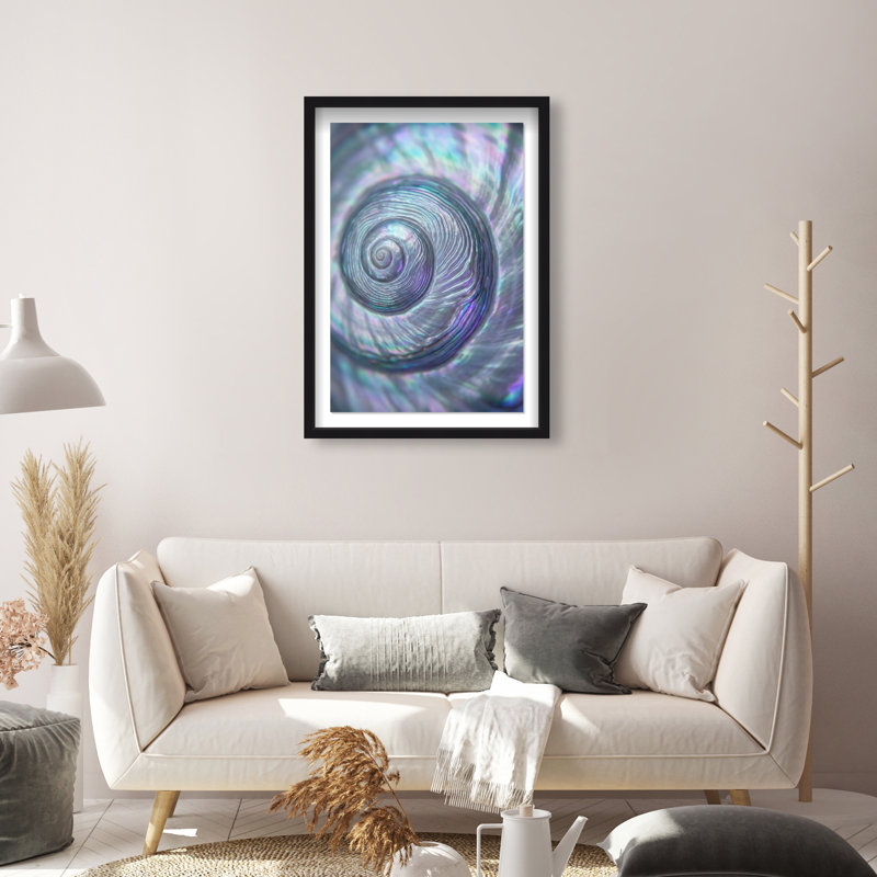 Sea Spiral Print by Oliver Gal, 37.5"H x 25.5"W, Black Shadowbox