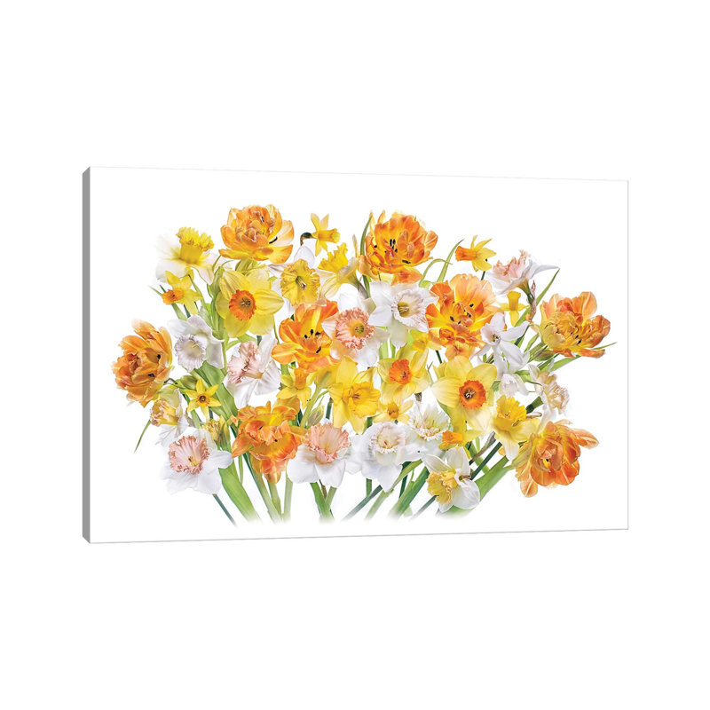 Spirited 1 Piece Wrapped Canvas Painting, 101.6 cm H x 66.04 cm W