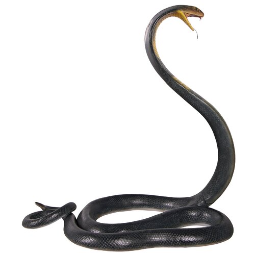 Design Toscano King Cobra Life-Size Snake Statue & Reviews | Wayfair