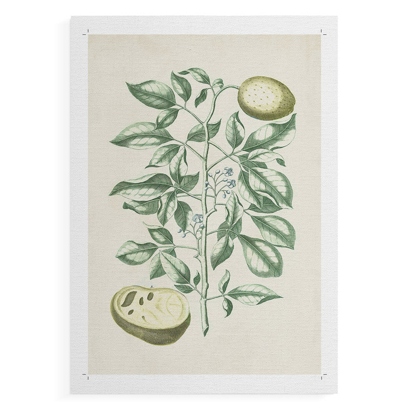 Buchoz Tropicals III - Impression sur toile seulement - NON-CADRE, H 48 po x l 32 po