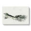 Path Through The Lake District In Abstract - Wrapped Canvas-55339776