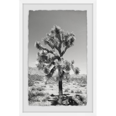 Joshua Tree II 1 Piece Single Picture Frame Wall Art