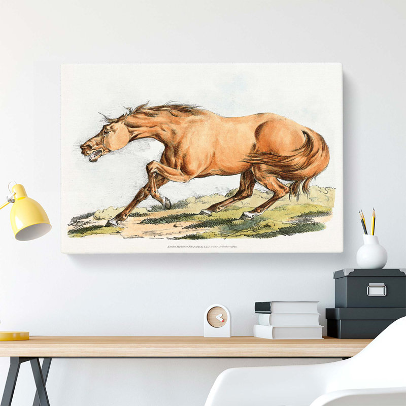 Horse by Henry Alken - Wrapped Canvas, 35cm H x 50cm W x 3cm D