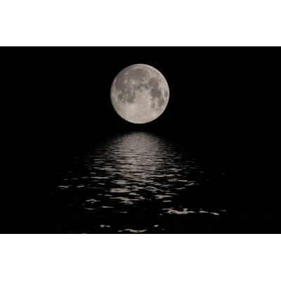 Full Moon - Wrapped Canvas Print