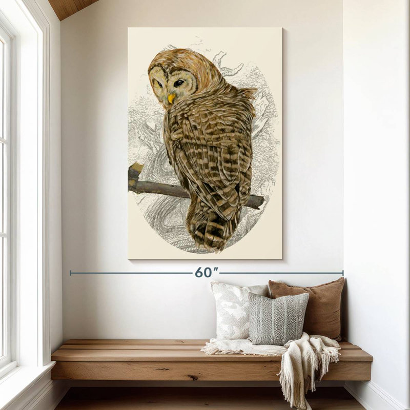 Brampt Barred Owl II, 51" H x 34" W