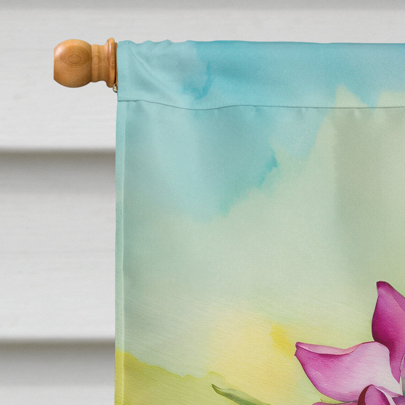 Double Sided 40'' H x 28'' W Polyester House Flag