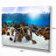 «Indonésie Underwater Panorama», reproduction de photo sur toile tendue-16484682
