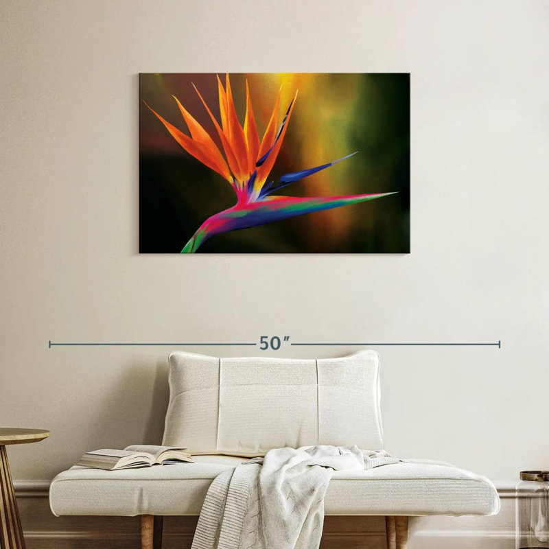 Strelitzia Harnek Delightful, H 24 po x l 36 po