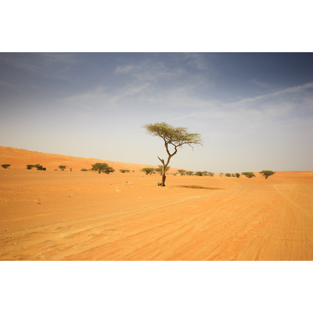 Wahiba Sands Desert von Mlenny - Kunstdrucke auf Leinwand