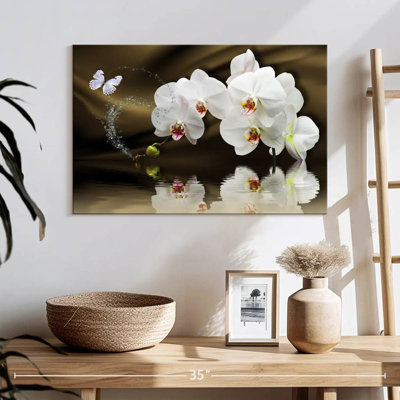 Orchidées blanches Harnek et papillon