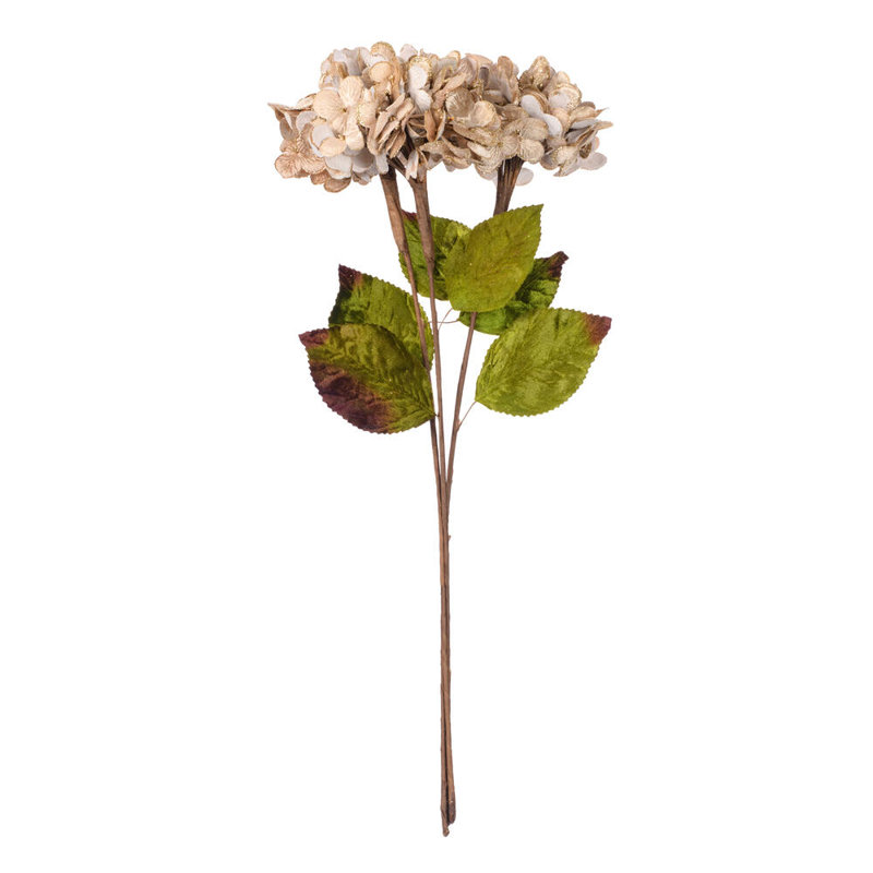 Hydrangea Arrangement, Champagne
