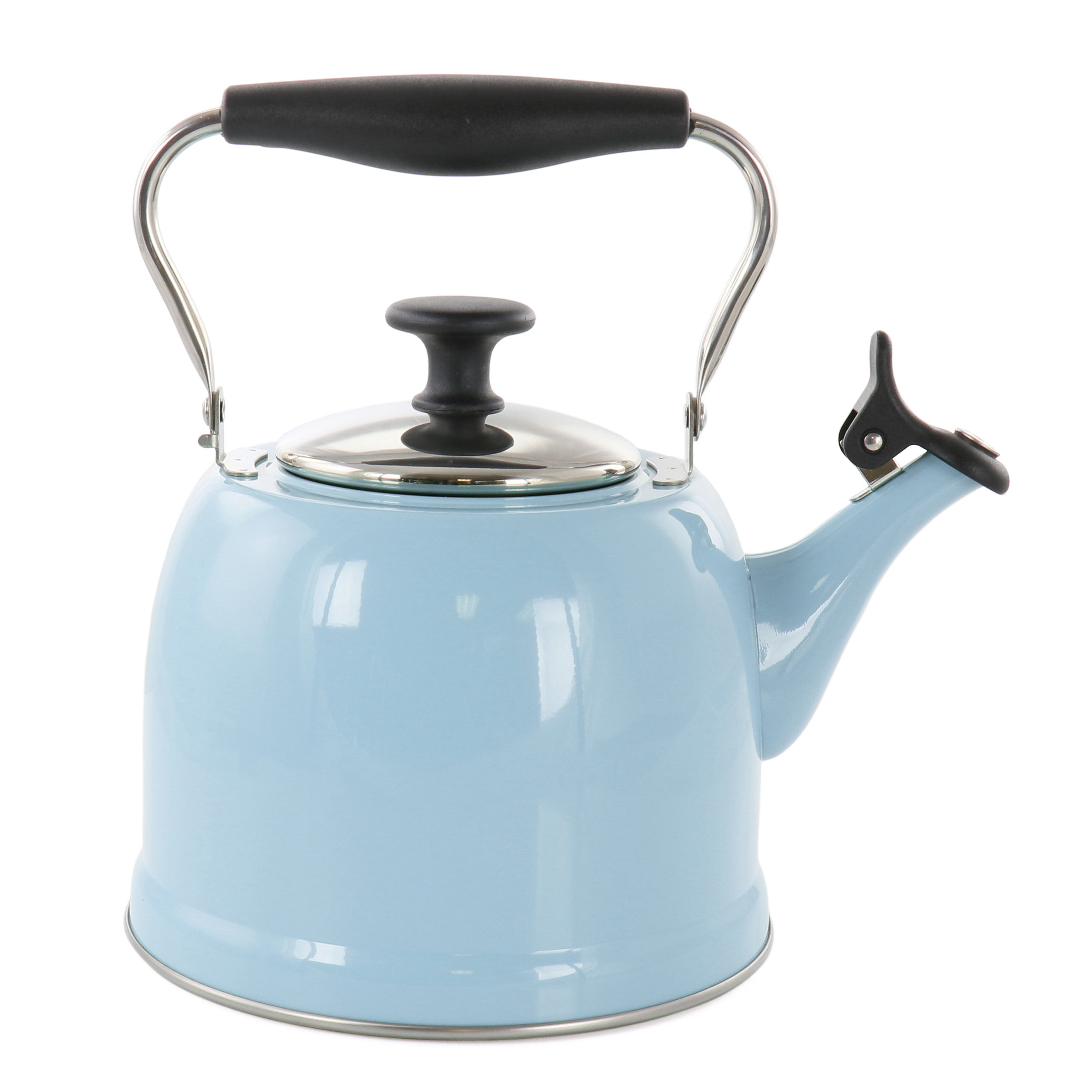 Martha Stewart Martha Stewart Everyday Lily Pond 2.2 Quart Stainless Steel Tea Kettle in Periwinkle | Wayfair