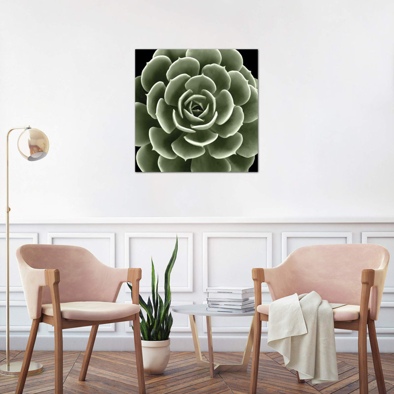 Green Succulent IV by Mia Jensen - Wrapped Canvas Print, 66.04 cm H x 66.04 cm W x 1.91 cm D
