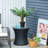 23.62'' Faux Palm Tree in Cement Pot