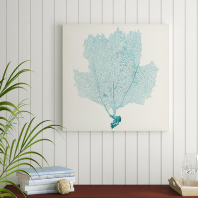 Sea Fan III by Vision Studio - Wrapped Canvas Painting