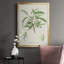 Amande antique botanique III-88436834-88436830
