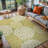 Indoor / Outdoor Rug-1736271618