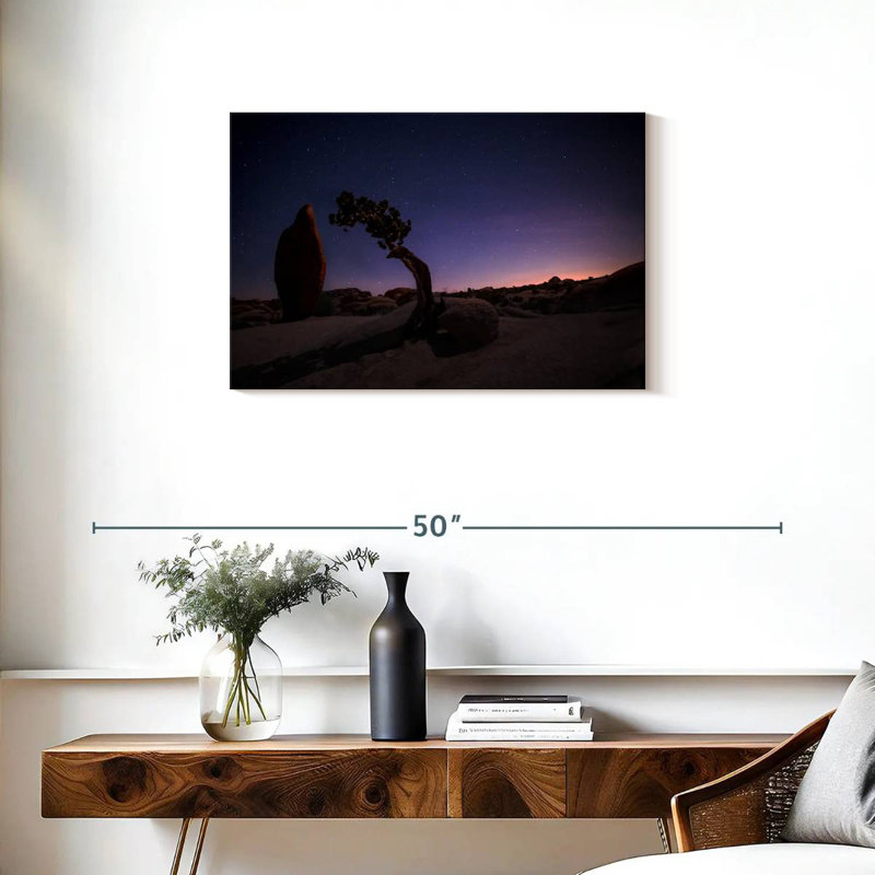 Nicci Joshua Tree Night Landscape, 20" H x 30" W