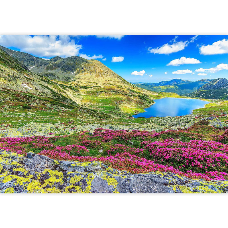 Forest Nature Landscape Peel & Stick Clear Border, 100" L x 144" W
