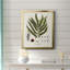Toile encadrée de qualité supérieure Botanical Society Ferns II - prête à être accrochée-1365227733-1365227731