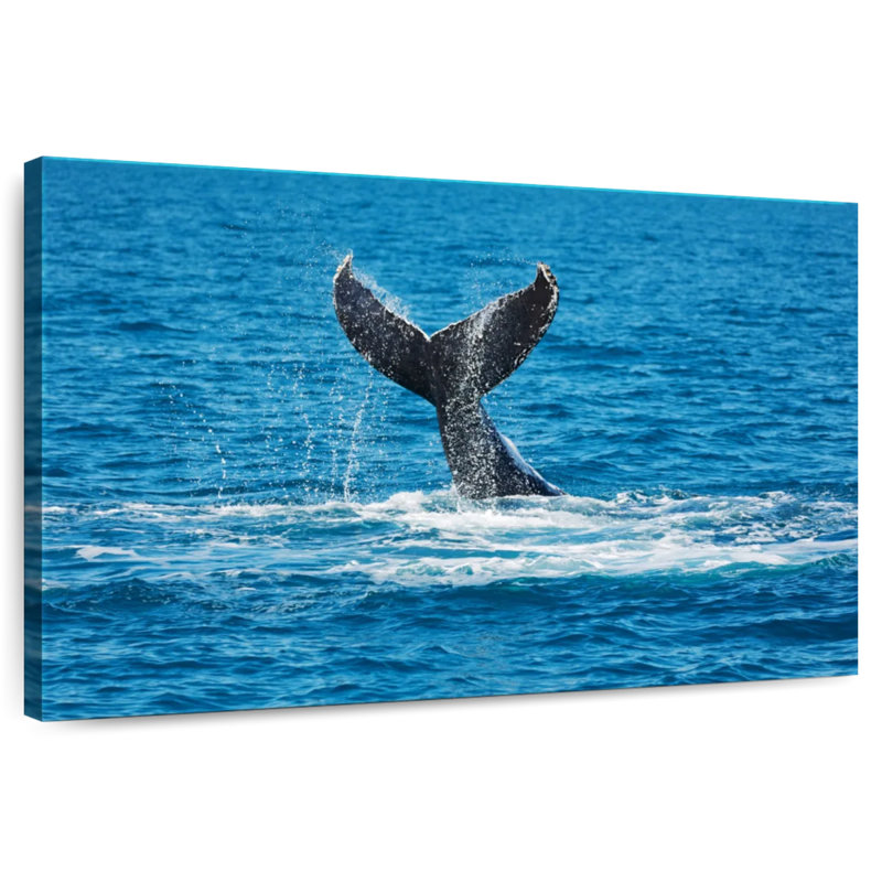 Brampt Whale Tail View, 30" H x 45" W