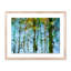 Reflection II Print by Geoffrey Baris-48620727-48620726