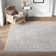 Audres Oriental Indoor Rug