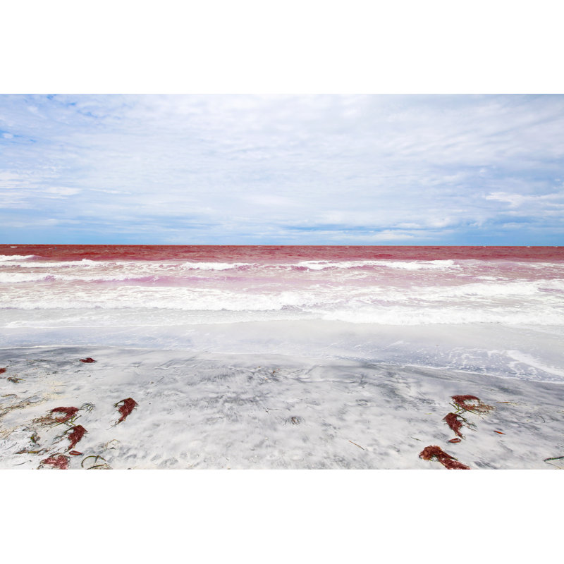 Plage Red Tide par Triggerp Photo, H 20 po x l 30 po