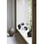 Vase de table en terre cuite intérieur / extérieur noir 8,66 "Fidella