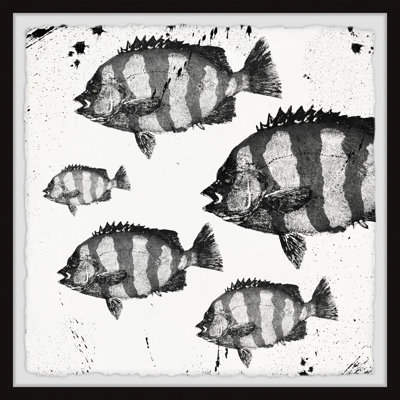 Barred Fish by Parvez Taj - Single Picture Frame Painting