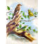 Birds On The Tree Print