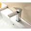 Mono Basin Mixer with Waste