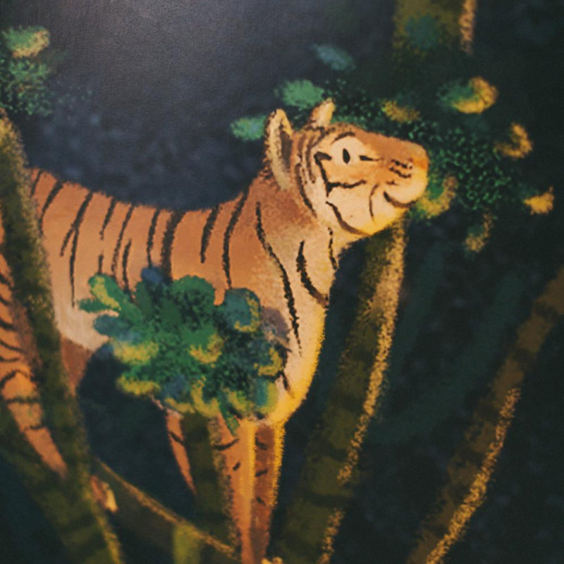 Wallpaper, Pre-Pasted