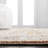 Jacomine Performance Oriental Rug-555997469