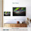 Alvord Magical Harstad Northern Lights-108733094