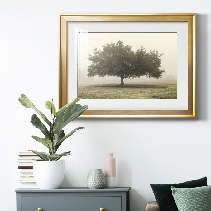 «Trees In The Fog II», reproduction encadrée de qualité supérieure - prête à être accrochée, H 18,5 po x l 24,5 po x P 1 po