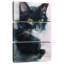 Chat Brampt Tuxedo-108539498
