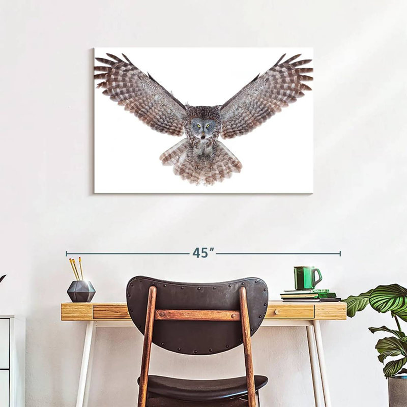 Owl Power, 24" H x 36" W