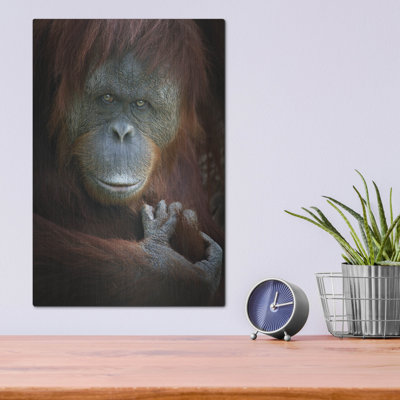 Emotion' by SD Smart, Metal Wall Art