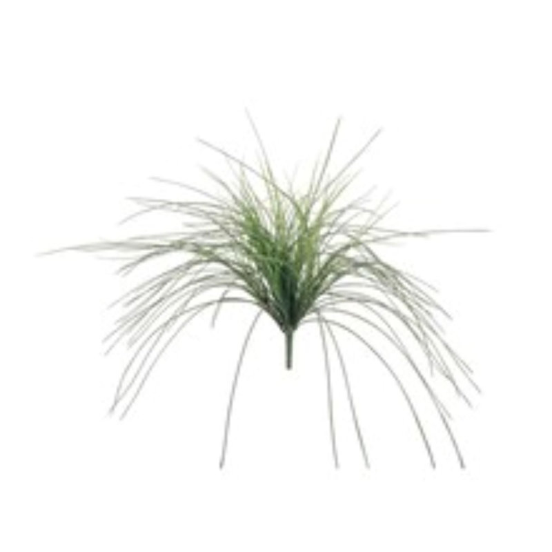 23" Mondao Grass Bush - 4 Pack