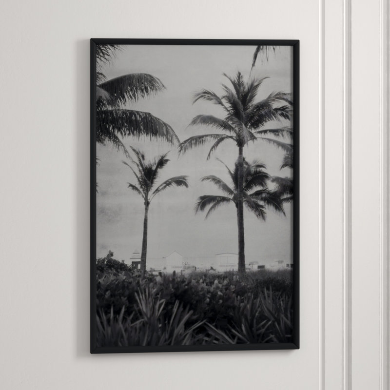 Silver Palms 1' Framed Photographic Print