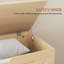 Accent Trunk-61567756