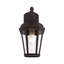 Lanterne murale d'extérieur H 14 po Anguel-22375507