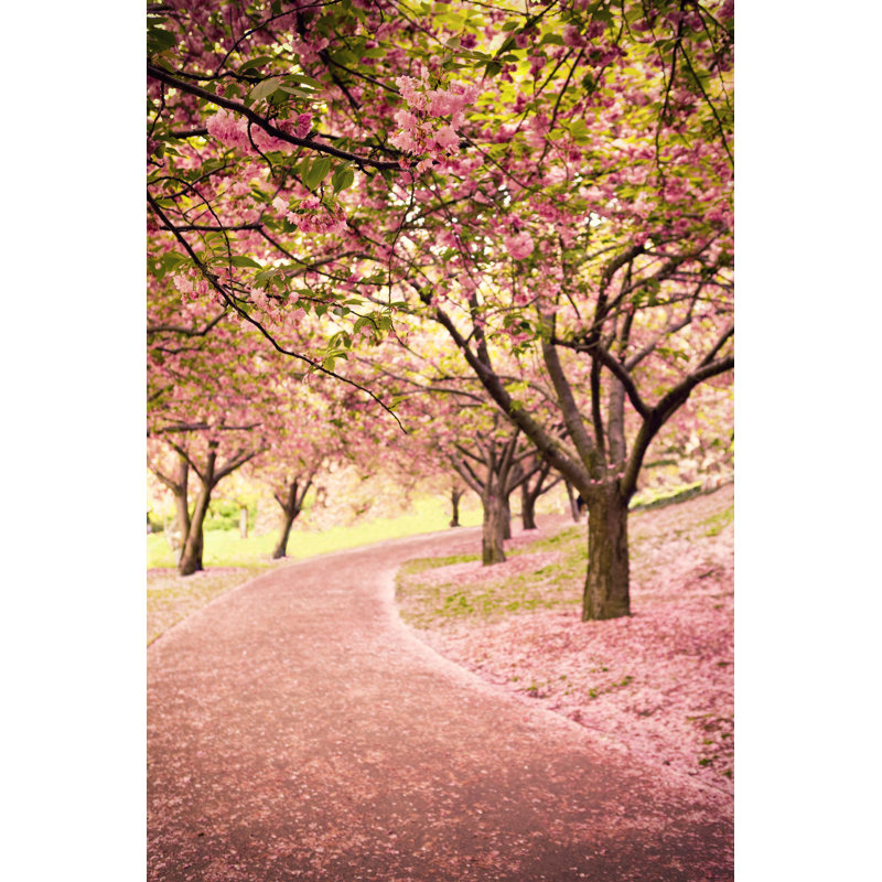 Cherry Blossom In Newyork - Wrapped Canvas Print, 30cm H x 20cm W x 3.8cm D