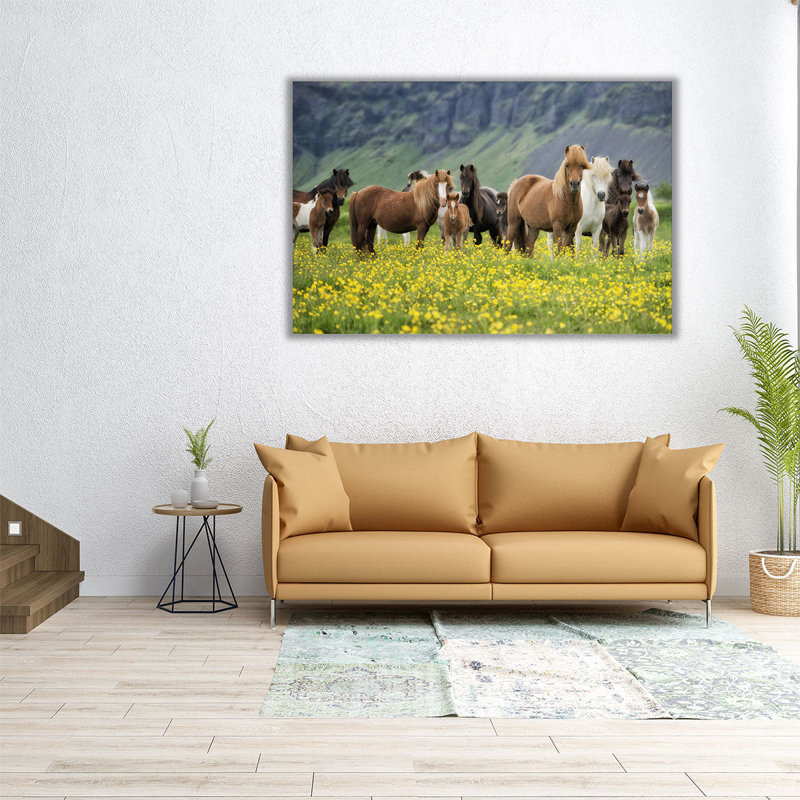 «Islandais», reproduction d'art sur toile, H 20 po x l 30 po